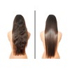 Hair Chemist Solutions Thicken Hair Oil with Biotin 2.5 oz