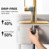 FROPO Gold Kitchen Faucets, Brushed Gold Kitchen Faucet with Pull