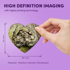 1 x Heart MDF Magnets - Owl Chicks Baby Bird Cute Wildlife 45962