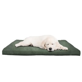 Water-Resistant Dog Bed - Orthopedic Dog Bed with Removable Washable Cover, Non-Slip Bottom, and Egg Crate Style Foam - 25.5in Small Pet Bed - Puppy Essentials by PETMAKER (Green)