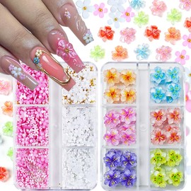 3D Nail Charms and Gems Set - 42PCS Colorful Crystal Tropical 3D Flowers for Nails+ Pink White Acrylic Flower Nail Charms with Caviar Beads Nail Decoration