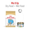 ROYAL CANIN, Puppy - Chihuahua, Croquetas para Perro, 1.1kg