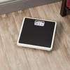 Taylor Analog Scales for Body Weight, Rotating Dial, 300 LB