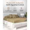 Good Sleep Bedding Queen Fitted Sheet Only - 100% Egyptian