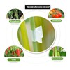 Candeon Plant clip Grafting Special grafting clip Tomato seedling grafting