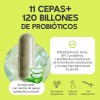 Probioticos Cepas 120 Billones Megabiotic Capsulas