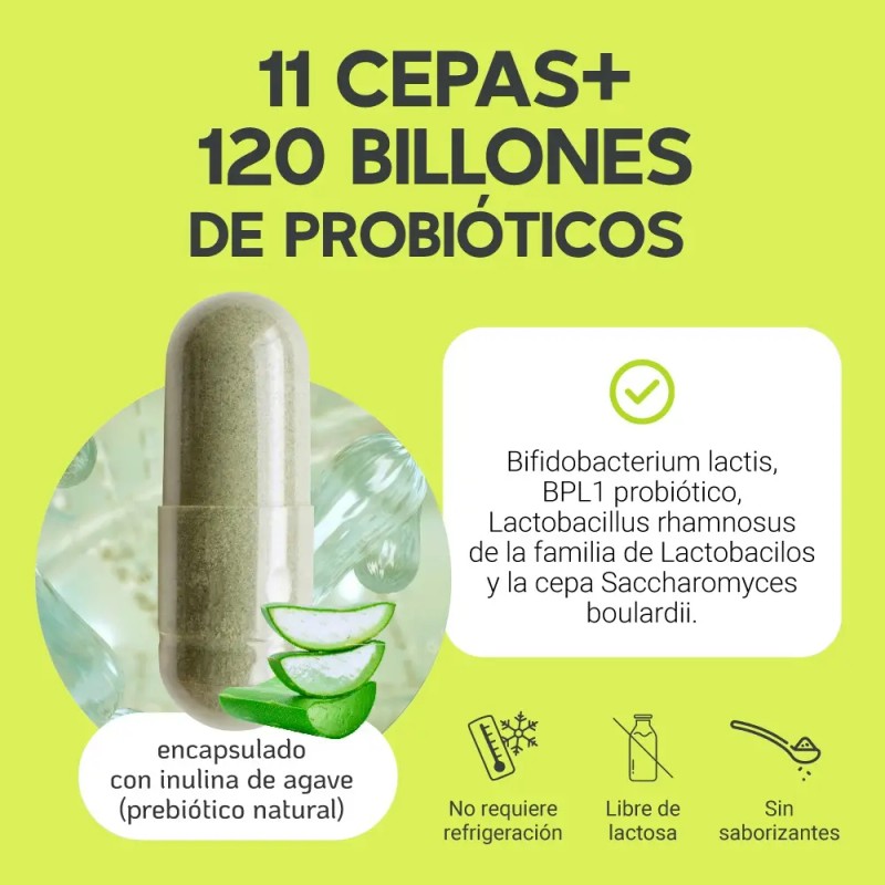 Probioticos Cepas 120 Billones Megabiotic Capsulas