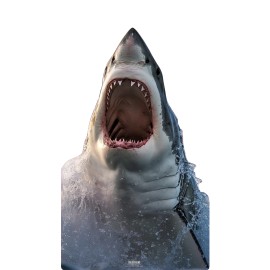 Wet Paint SC2570 Great White Stand-in Cardboard Cutout Standee Standup