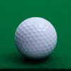 DAIYA GOLF Basic Putt TR-433