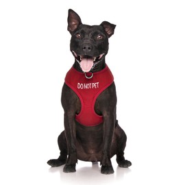 Dexil Limited DO NOT PET Red Colour Coded Non-Pull Front and Back D Ring Padded and Waterproof Vest Dog Harness PREVENTS Accidents By Warning Others Of Your Dog In Advance (L)