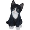 Pet Pals Kitten Black and White by Vivid Arts