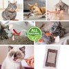 Cat Toys Cat Chew Toys, Silvervine Sticks Catnip Rope Toys