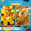 Qualirey 3 Pack Fruit Fly Trap Sticks for Indoors &