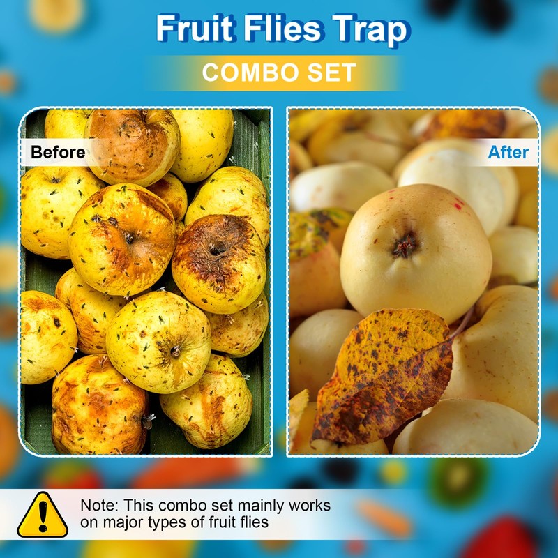 Qualirey 3 Pack Fruit Fly Trap Sticks for Indoors &