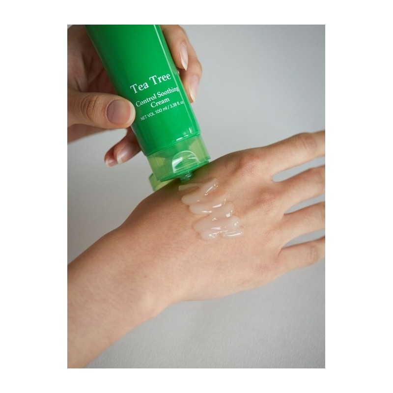 Papa Recipe Tea Tree Control Soothing Cream 100ml / 티트리