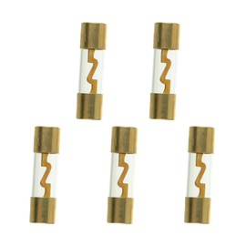 SIGANDG 100A AGU Fuse Gold-Plated Glass Car Audio for Car Marine Audio Stereo Amplifier Power Protection (Pack of 5)