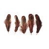 100 pcsHappy Feather Natural Pheasant Plumage Feathers 2-3 Inches Plumage