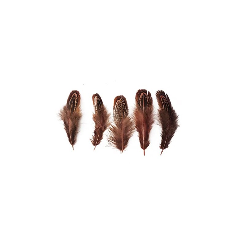 100 pcsHappy Feather Natural Pheasant Plumage Feathers 2-3 Inches Plumage