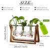 XXXFLOWER Plant Terrarium with Wooden Stand, Air Planter Bulb Glass