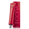 Schwarzkopf Igora Royal 6-6 Dark Blonde Chocolate Permanent Hair Color