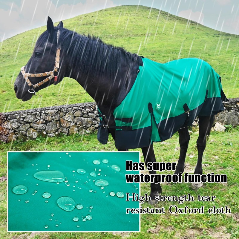 Adjustable Waterproof and Breathable Horse Sheet | Horse Blankets for