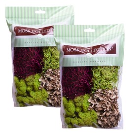 Quality Growers - The Moss Collection Variety Pack - Natural Decorative Moss - Crafts, Home Decor, Art, Design & DIY Projects - Non-Toxic - Made in USA - Red Mix, Small, 2-Pack