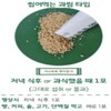 바이셀 가스트로 엔자임 G 특허균주 발효물 아밀라아제 코디세핀 포스트바이오틱스 10포