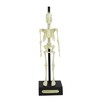 Anatomical Skeleton Model – 30cm High, Perfect for Learning Human
