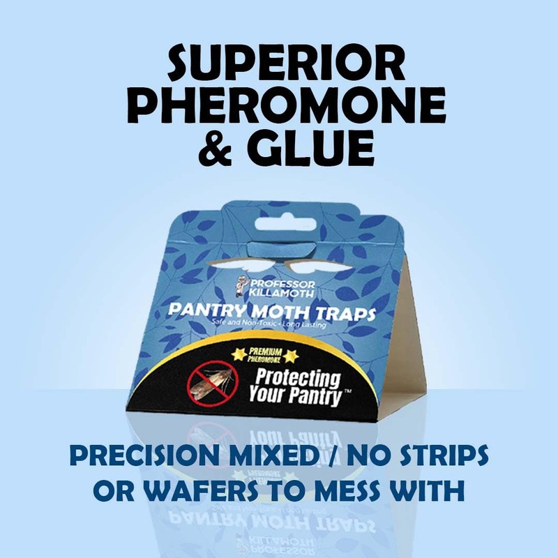 Professor Killamoth Pantry Moth Traps 6 Pack | New Blue