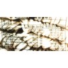 Yi Feng Kuan Miao Thick Noodles 42.32 Oz( Vegetarian)關廟麵(粗）