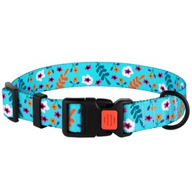 Nylon Dog Collar Floral Pattern Aquamarine 12-16 inch