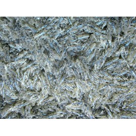 ALL AMERICAN Tournament Quality Soft Plastic Baits 50ct GLIMMER BLUE 1.5" Micro CRAWS Crappie Fishing Baits Trout Lures Bream Perch