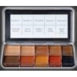 Skin Illustrator PPI Skin Illustrator Dark Fleshtone Makeup Palette Profession Stage Makeup by Skin Illustrator