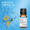 LOTUSJOY 100% Pure Blue Lotus Oil 0.34 Fl Oz, Natural