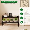 Garden 4 you 2 Tier Metal Plant Stand Outdoor Indoor
