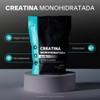 VITALBOTANICS - Creatina Monohidratada Elite - Suplemento Alimenticio en Polvo
