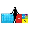 Joint Anatomy Chart Series (A2 Laminated, Foot & Ankle Joint)