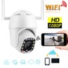 2.5in 1080P 13LED WiFi PTZ Dome Security Camera Outdoor IP65
