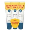 Burts Bees Valentines Day Gifts, Rescue Lip Relief with Shea