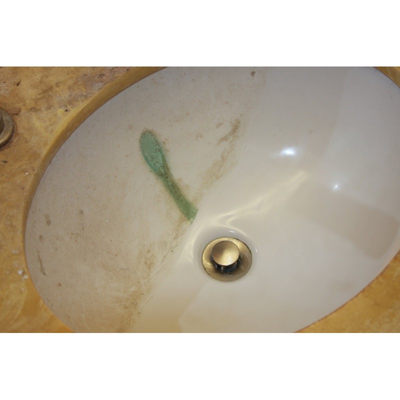 Bring It On Cleaner Sets 32oz Cleaner & Protect Shield