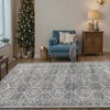 DEXI Area Rug 4x6, Washable Rugs Living Room Dining Room