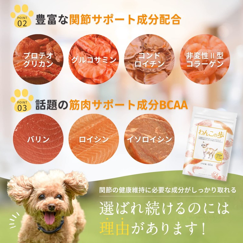 [Veterinarian Supervision] Dog Cat Pet Supplement, Joints, Walking, Joint Care,
