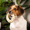 Pet Factory American Beefhide 3-4" Donuts Dog Chew Treats -