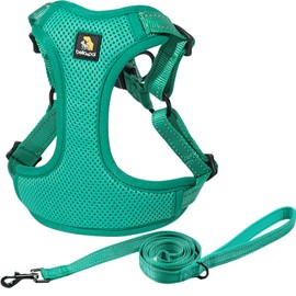 BELLA & PAL Adjustable Step-in Dog Harness, Puppy No-Pull Vest with Leash Set for XS/Small & Medium Dog, Breathable All-Weather Mesh, Reflective Strip, Secure Hook & Loop, Buckle Closure