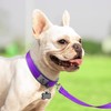 Joytale Dog Collar, Soft Dog Collar Padded Neoprene Dog Collar