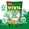VIVIL Herbal Mint with 23 Herbs, 1 Bag, Cough Drops