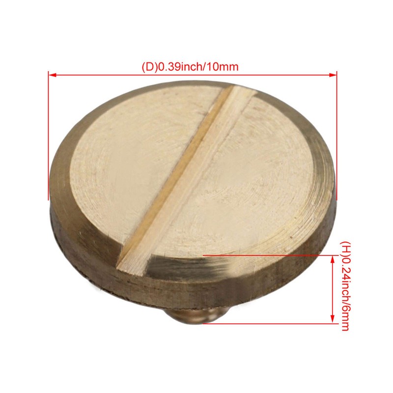 RDEXP Solid Brass Flat Head Nail Rivets Chicago Screws and