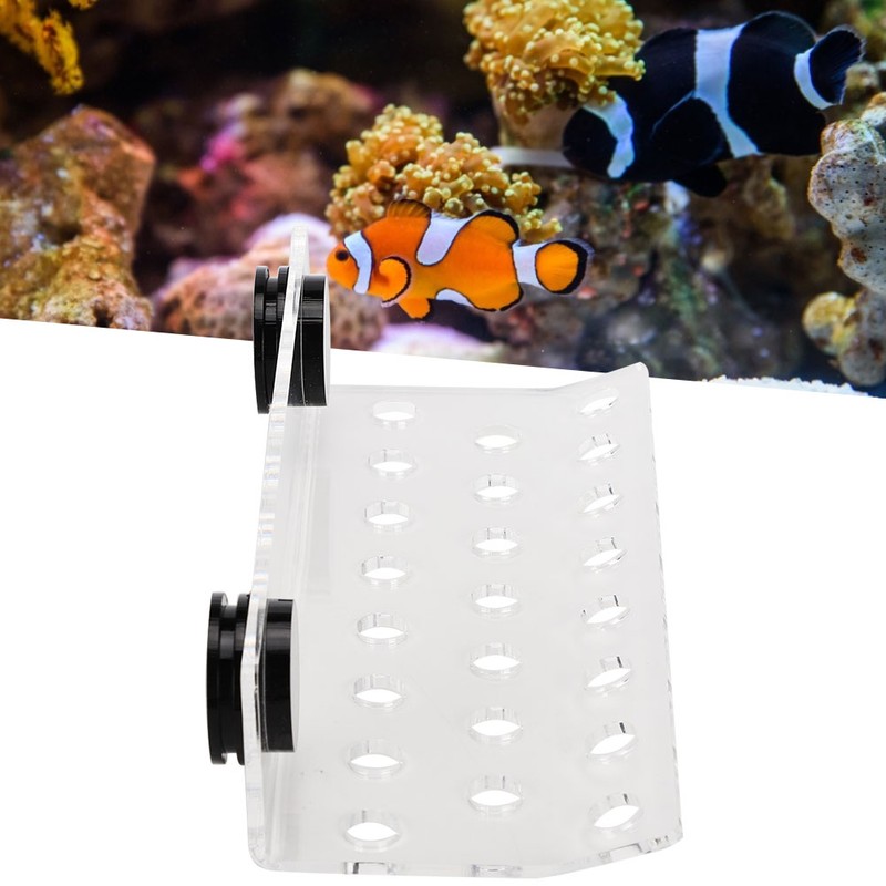Aquarium Marine Coral Racks Bracket Holder Fish Tank Button Frame
