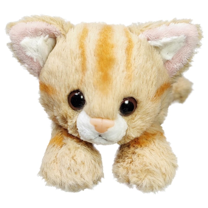 Animal Land Plush Animal Pencil Case, American Short Hair -
