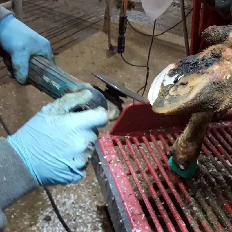 including Vibra-Stop,115 mm - A01296